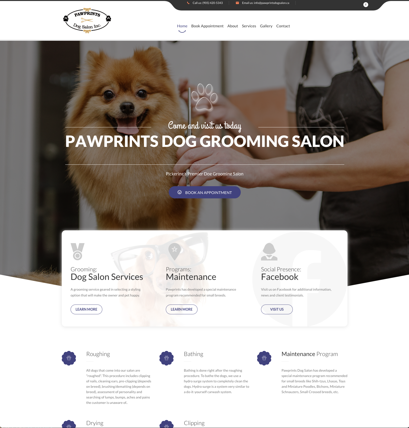 Recent Work - PawPrints
